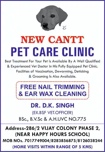 Dog Pet By in Opposite ISBT,Chandigarh - Best Pet Shops in