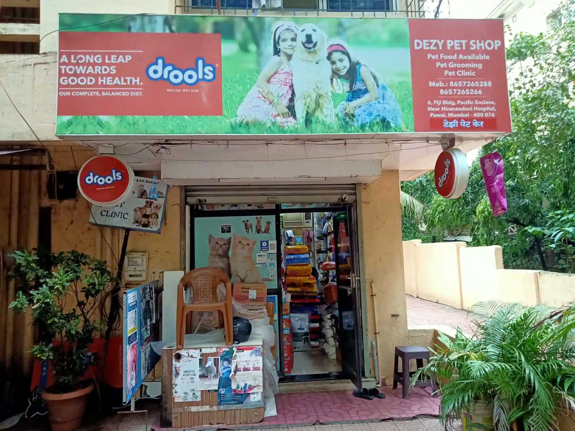 Bubbles Pet Spa in Malad West,Mumbai - Best Pet Grooming Services in Mumbai  - Justdial