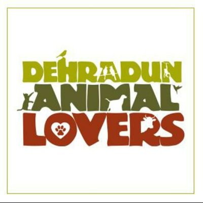 Top 10 Animal NGO in Dehradun For Pet, Stray And Injured Animals