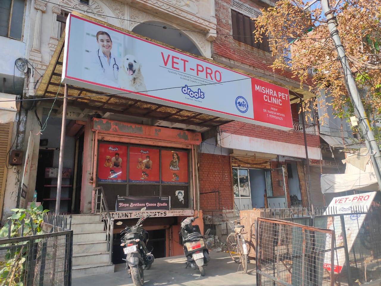 Top 20 Veterinary doctors in Jaipur | Pet clinic in Jaipur
