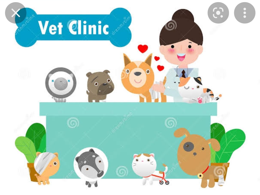 pet-consultations