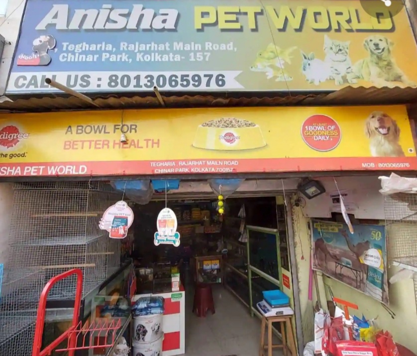 pet-shop