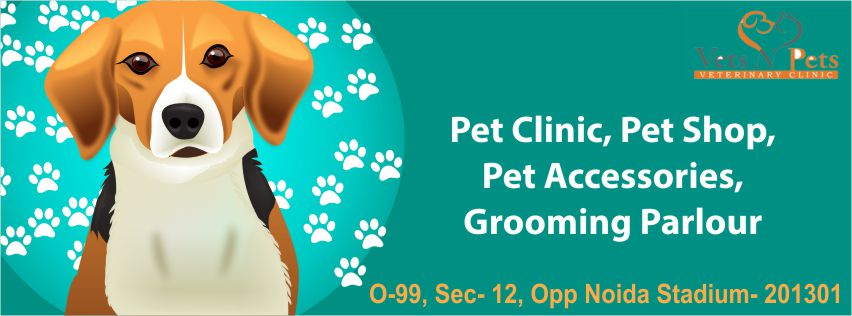 Top 20 Best Vet in Noida With Their Clinic Details - Petofy