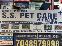 Top 10 Best Pet Shops in Noida With Shop Details on Petofy