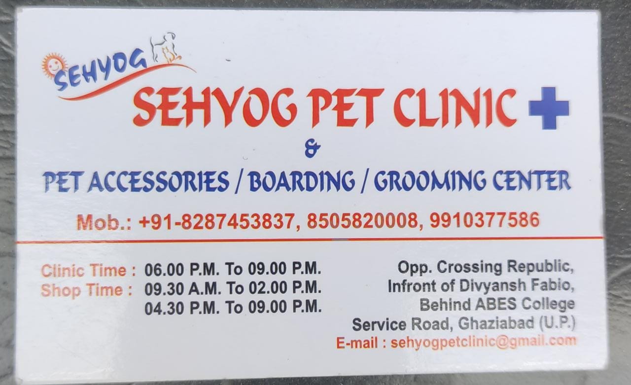 pet-consultations