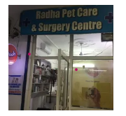 pet-consultations