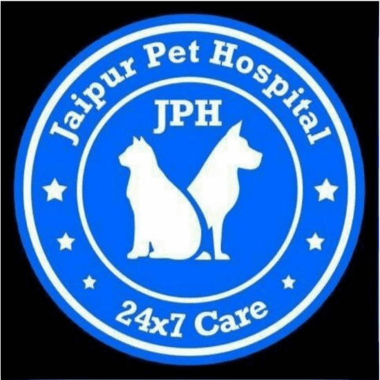 Top 15 Pet Hostel in Jaipur | Best Pet Boarding And Day Care Service