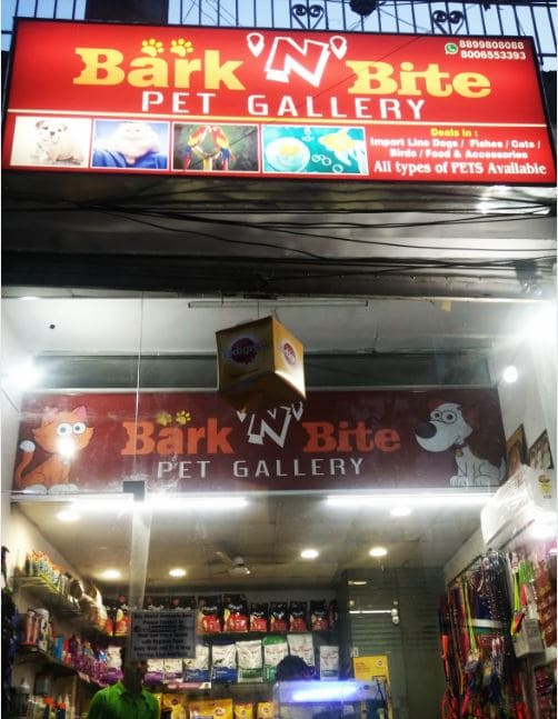 pet-shop