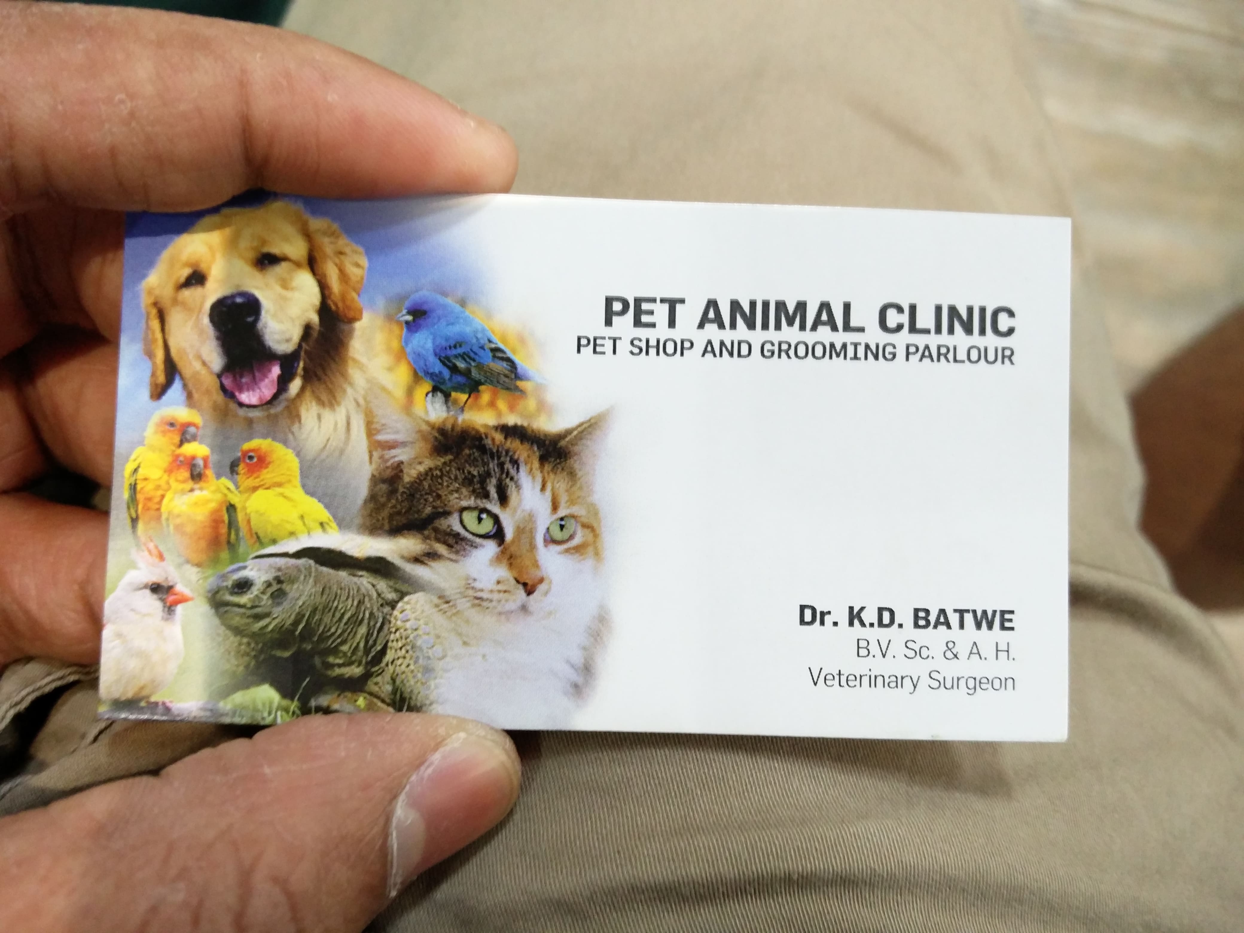 pet-consultations