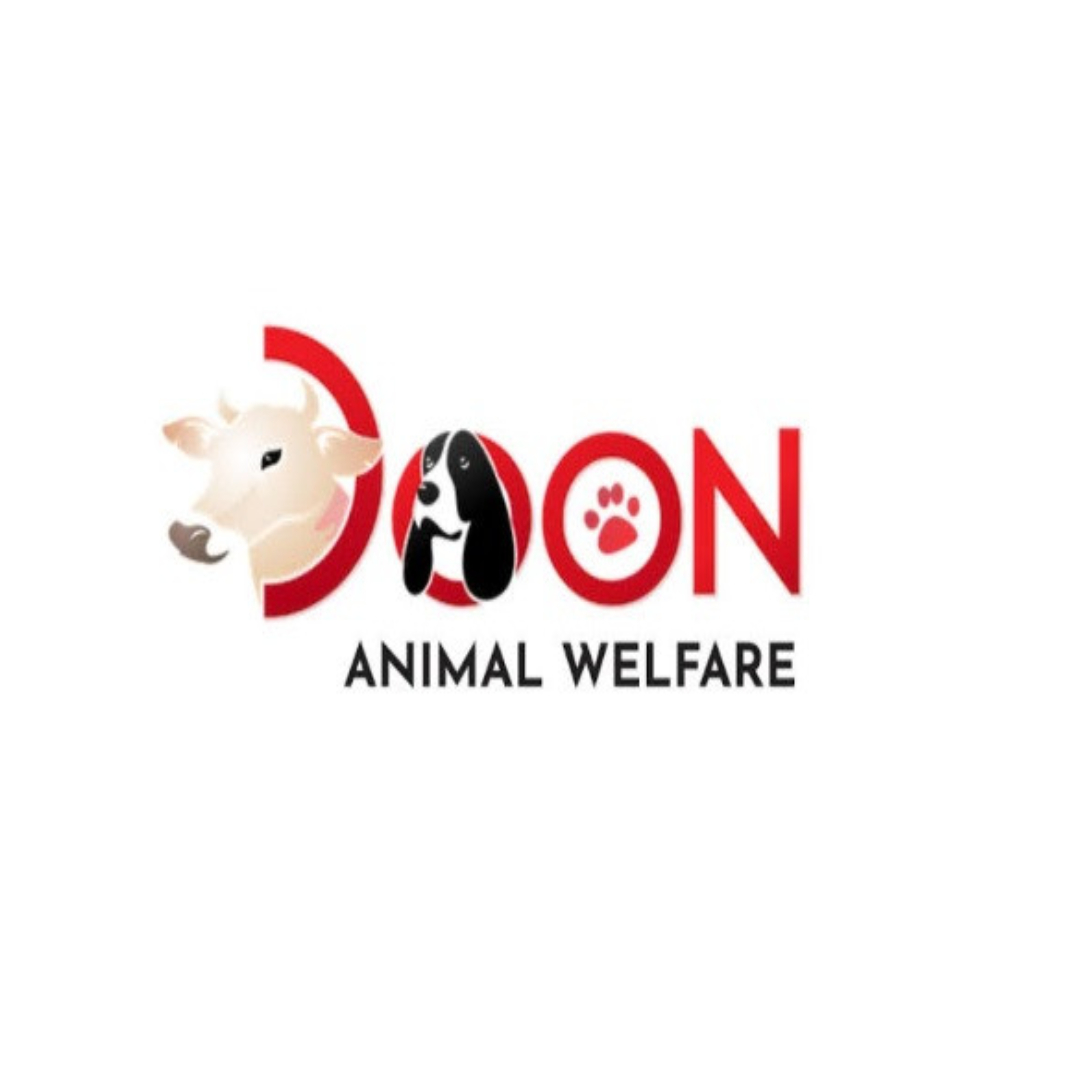 Top 10 Animal NGO in Dehradun For Pet, Stray And Injured Animals