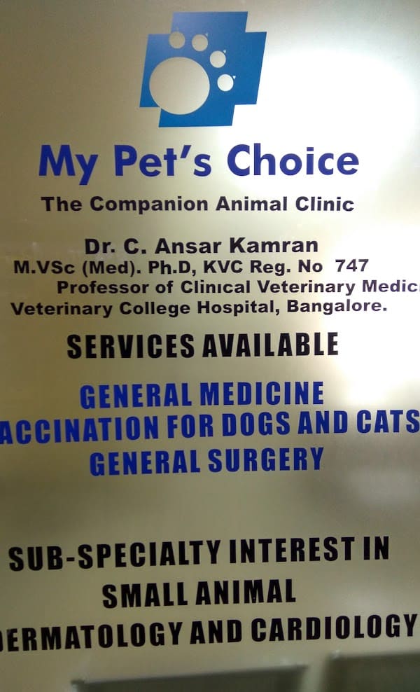 pet-consultations