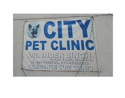 pet-consultations