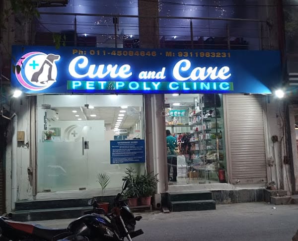 pet-consultations