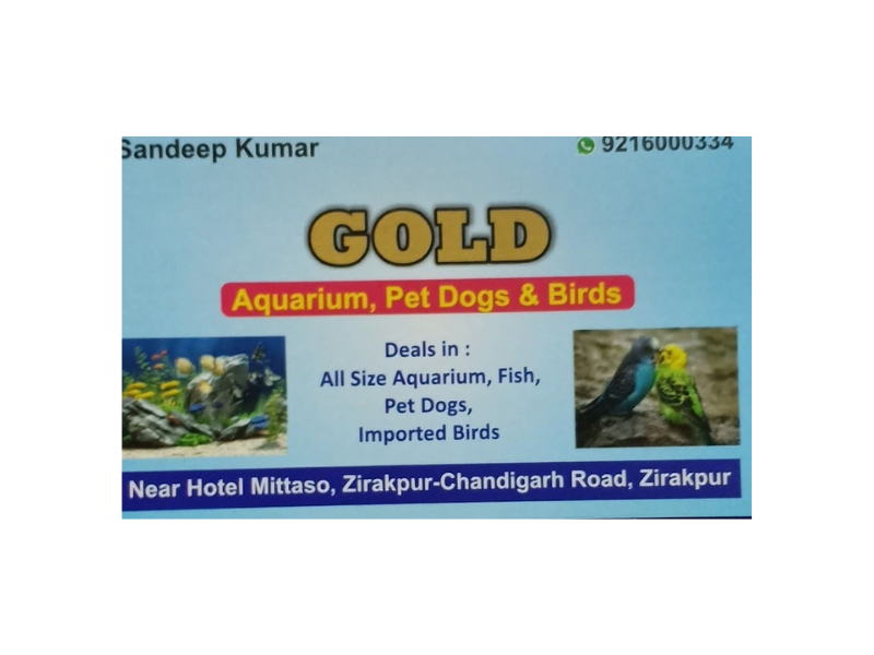 Dog Pet By in Opposite ISBT,Chandigarh - Best Pet Shops in