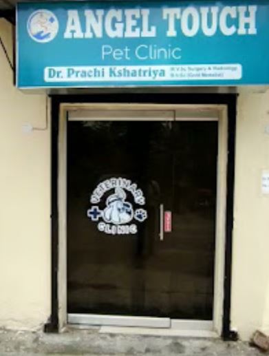 pet-consultations